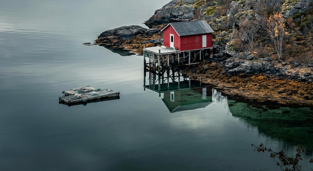 Über die Gesellschaft